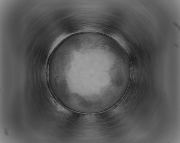 X0000093591094200710151159
