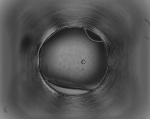 X0000093591095200710151159
