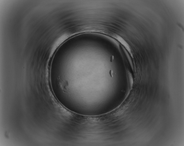 X0000093591096200710151159