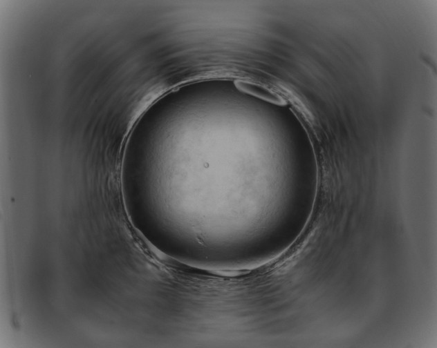 X0000093591097200710151159