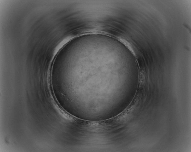 X0000093591098200710151159