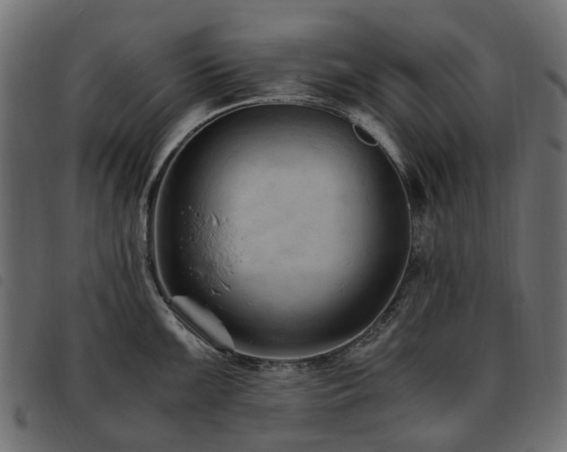 X0000093591099200710151159