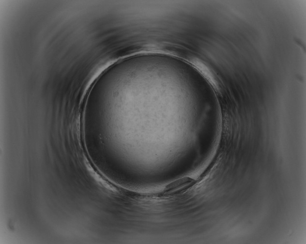 X0000093591100200710151159