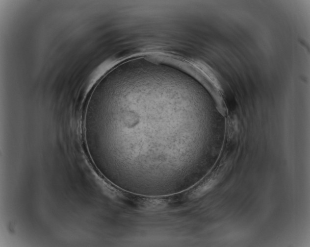 X0000093591101200710151159