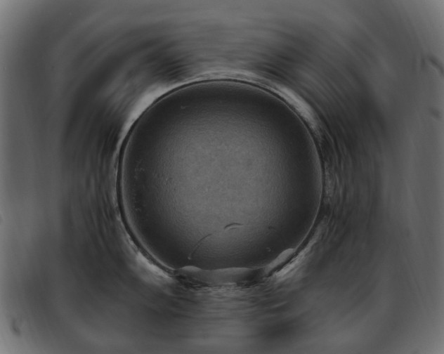 X0000093591102200710151159