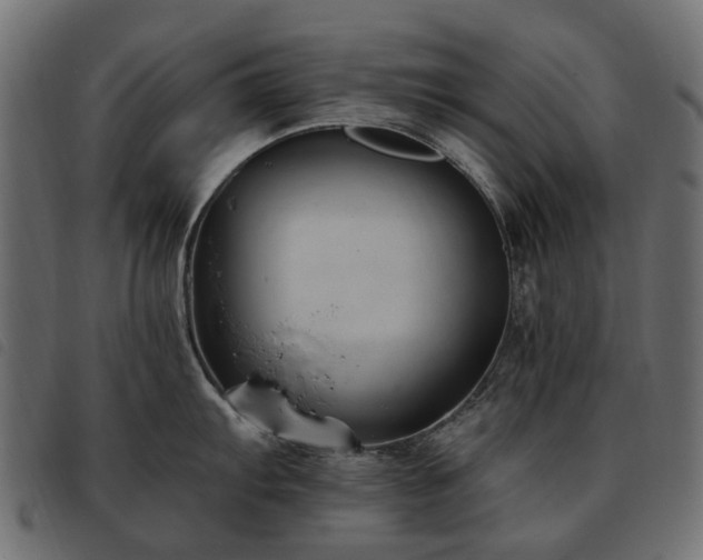 X0000093591103200710151159