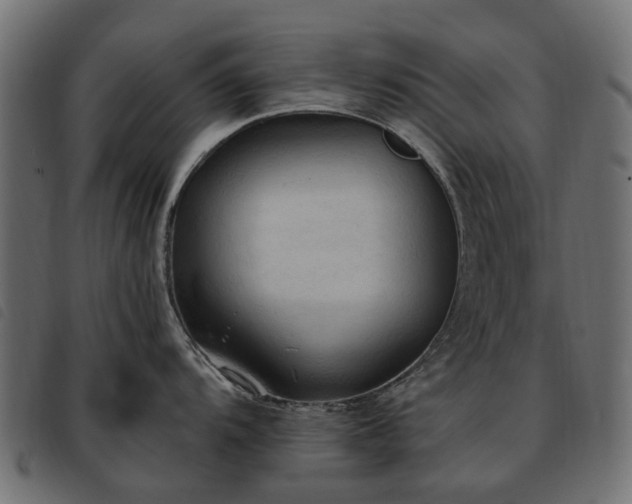 X0000093591104200710151159