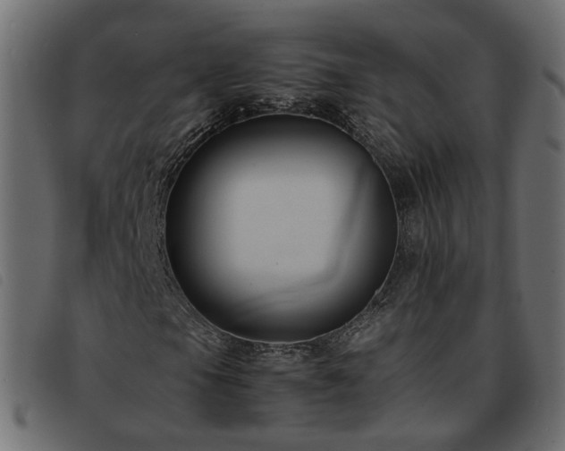 X0000093591105200710151158