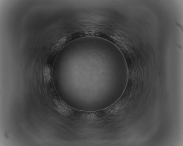 X0000093591106200710151158