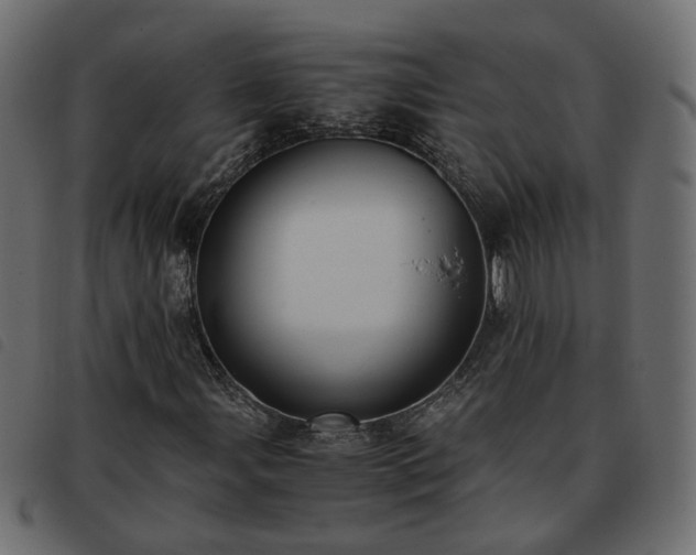 X0000093591107200710151158
