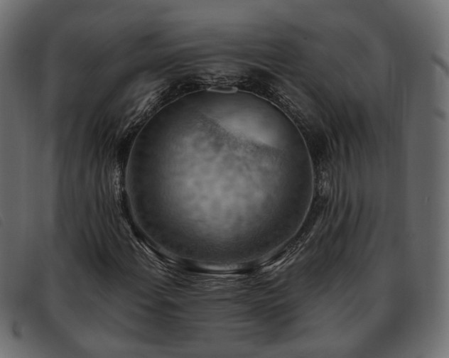X0000093591108200710151158
