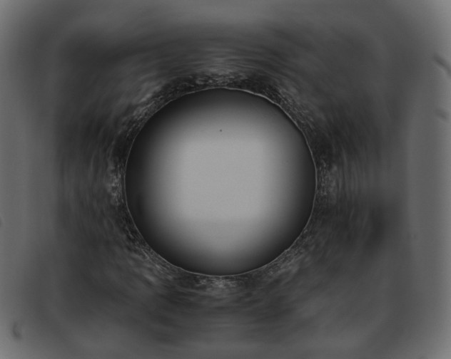 X0000093591109200710151158