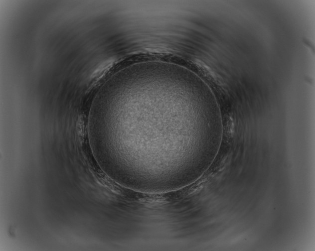 X0000093591110200710151158