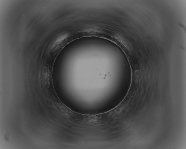 X0000093591111200710151158