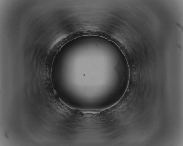 X0000093591112200710151158