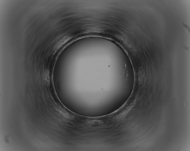 X0000093591113200710151158