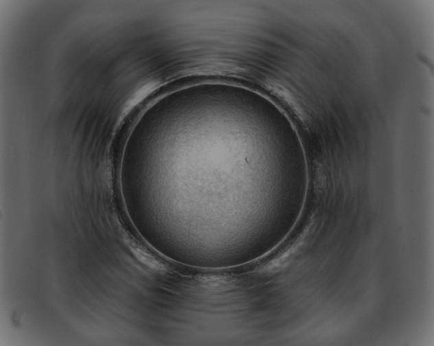 X0000093591114200710151158