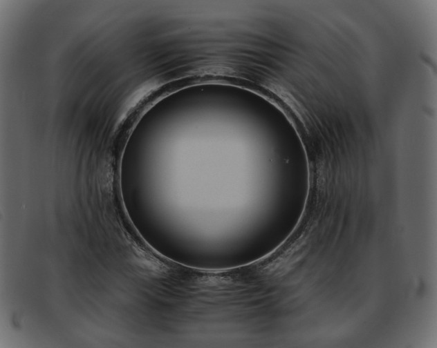 X0000093591115200710151158