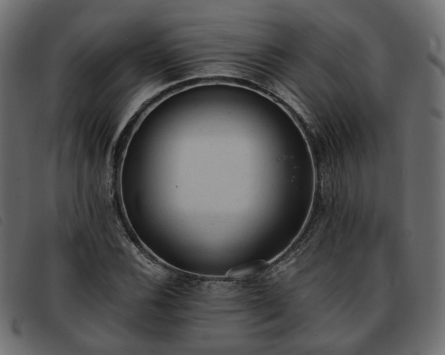 X0000093591116200710151158
