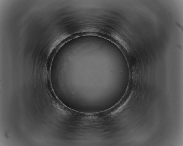 X0000093591117200710151158