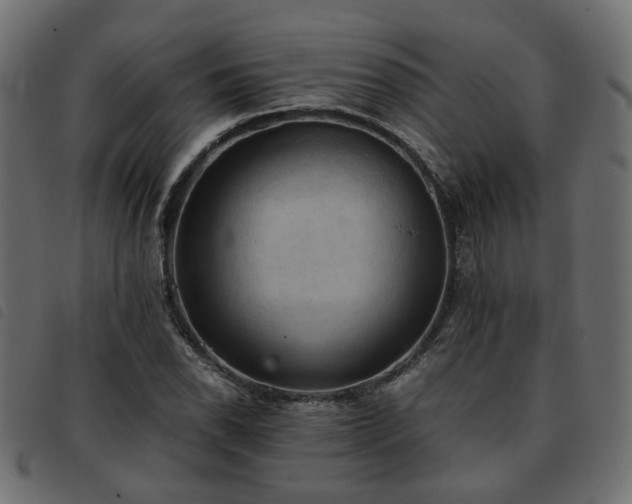 X0000093591118200710151158