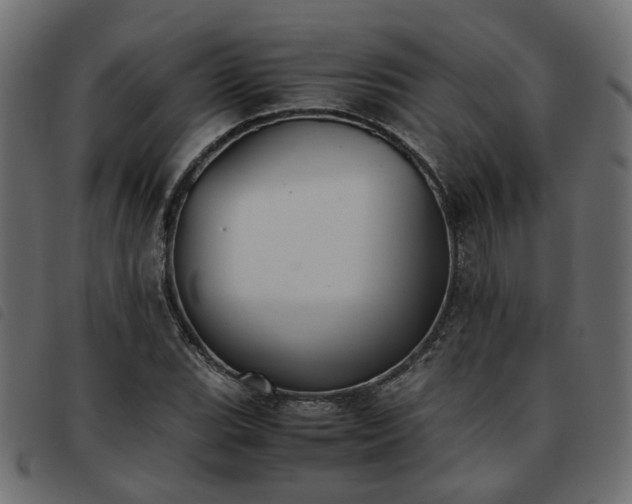 X0000093591119200710151158