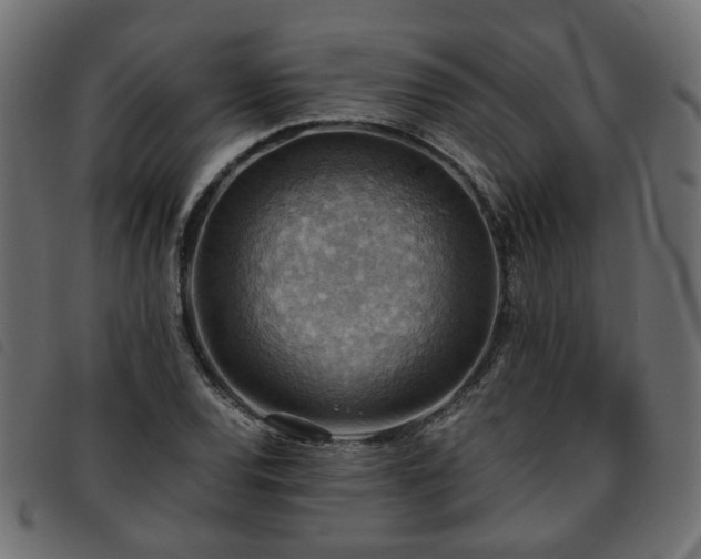 X0000093591120200710151159