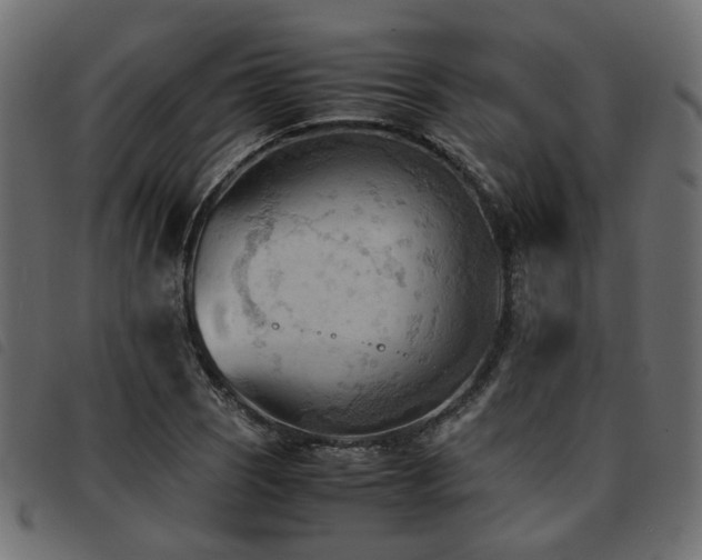 X0000093591121200710151159
