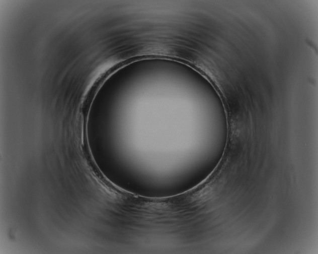 X0000093591123200710151159