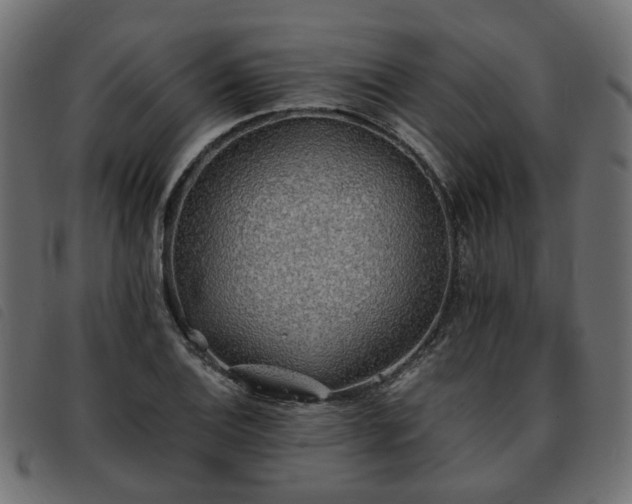 X0000093591124200710151159