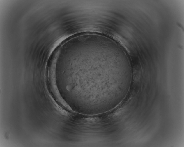 X0000093591125200710151159