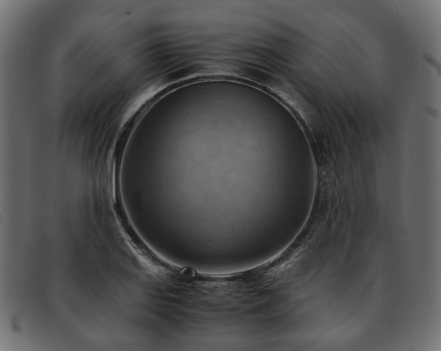 X0000093591127200710151159