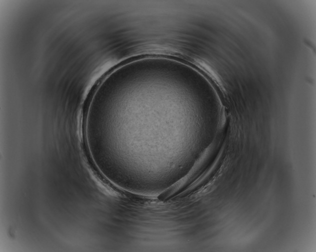 X0000093591128200710151159