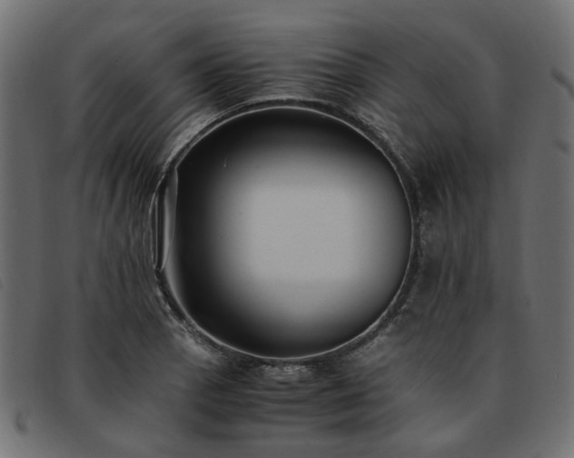 X0000093591129200710151159