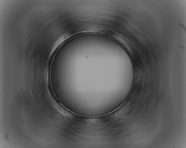 X0000093591130200710151159