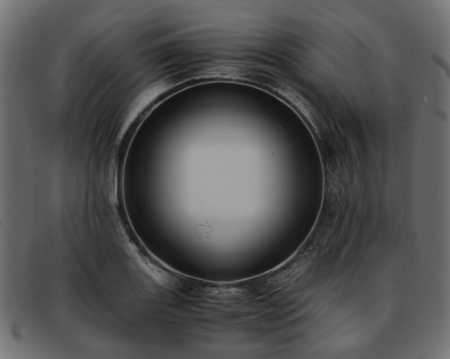 X0000093591131200710151159