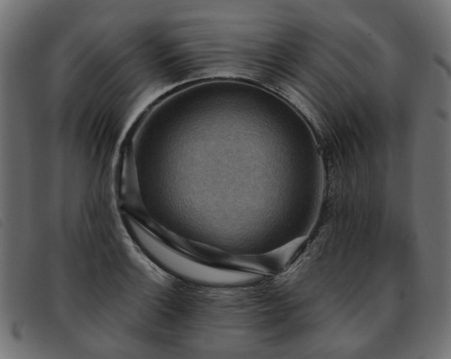 X0000093591132200710151159