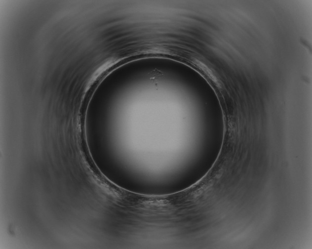 X0000093591133200710151159