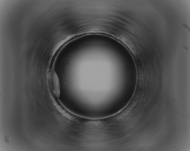 X0000093591134200710151159