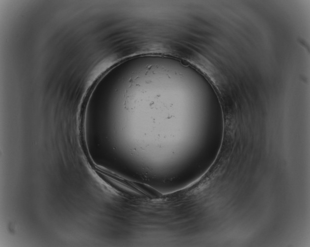 X0000093591135200710151159