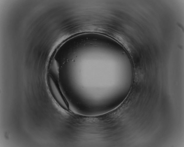 X0000093591136200710151159