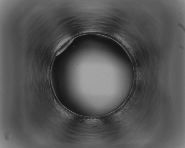 X0000093591137200710151159