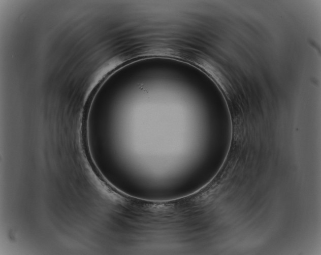 X0000093591139200710151159