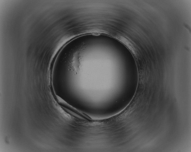 X0000093591140200710151159