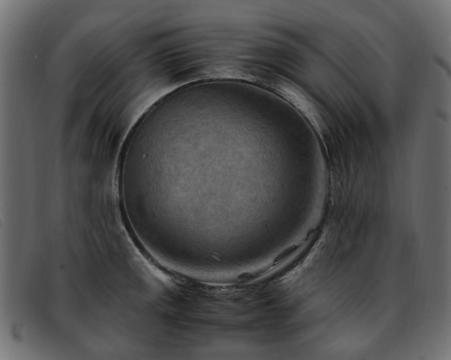 X0000093591141200710151159