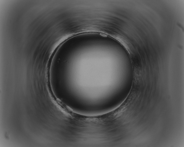 X0000093591142200710151159