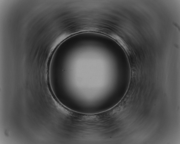 X0000093591143200710151159