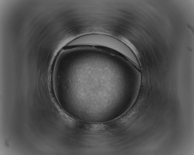 X0000093591144200710151159