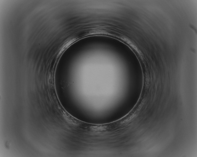 X0000093591145200710151159