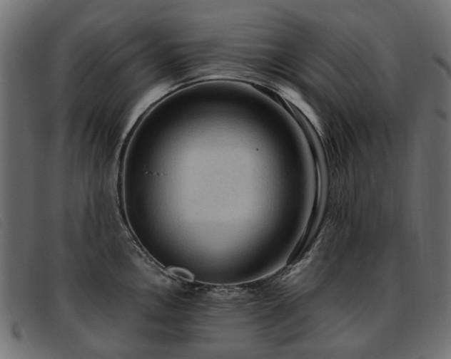 X0000093591146200710151159